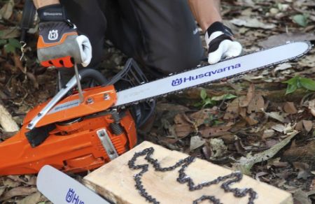 Kategooria Saeketid pilt