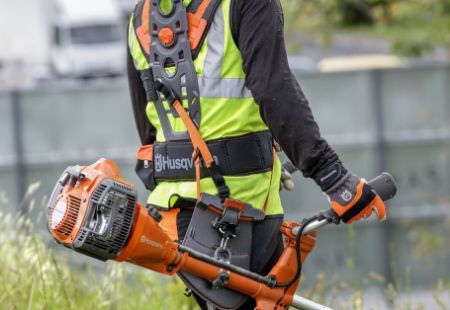 Kategooria Kanderihmad pilt