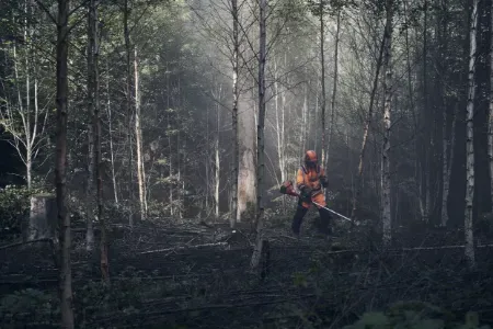 Kategooria Võsalõikajatele pilt