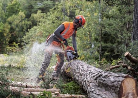 Kategooria Mootorsaagidele pilt