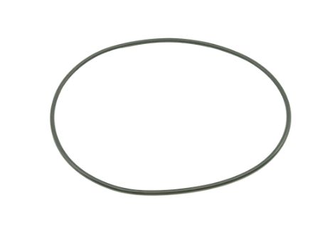 DANA O-ring