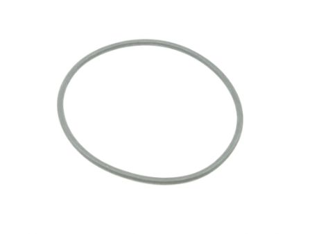 ZF o-ring
