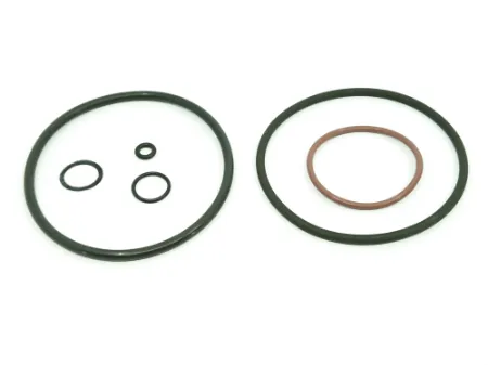 Cyclone filter O-ring kit