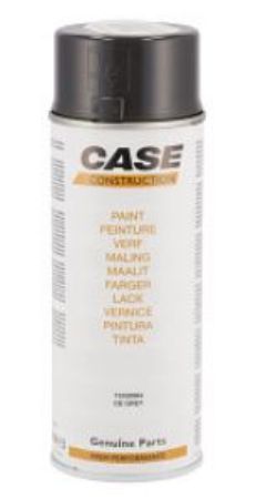 Case värv aerosool