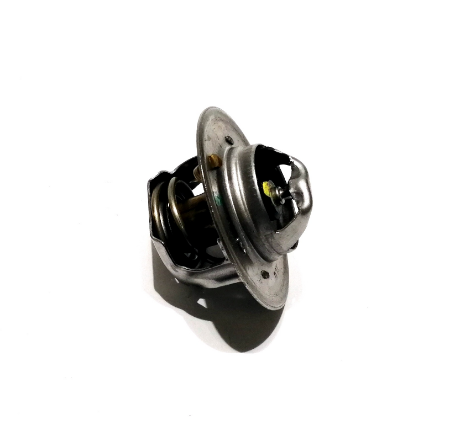 TERMOSTATS THERMOSTAT