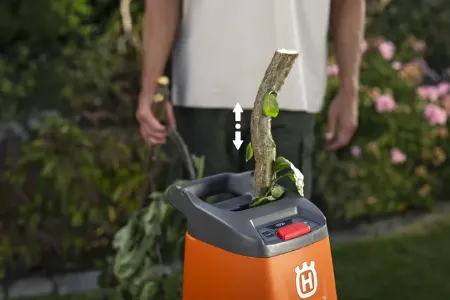 Kategooria Oksapurustajad pilt