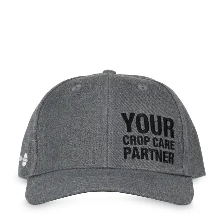 Nokamüts Hardi, hall